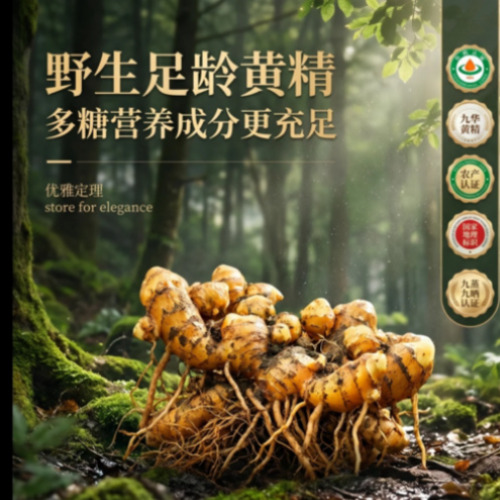 品牌视觉示例